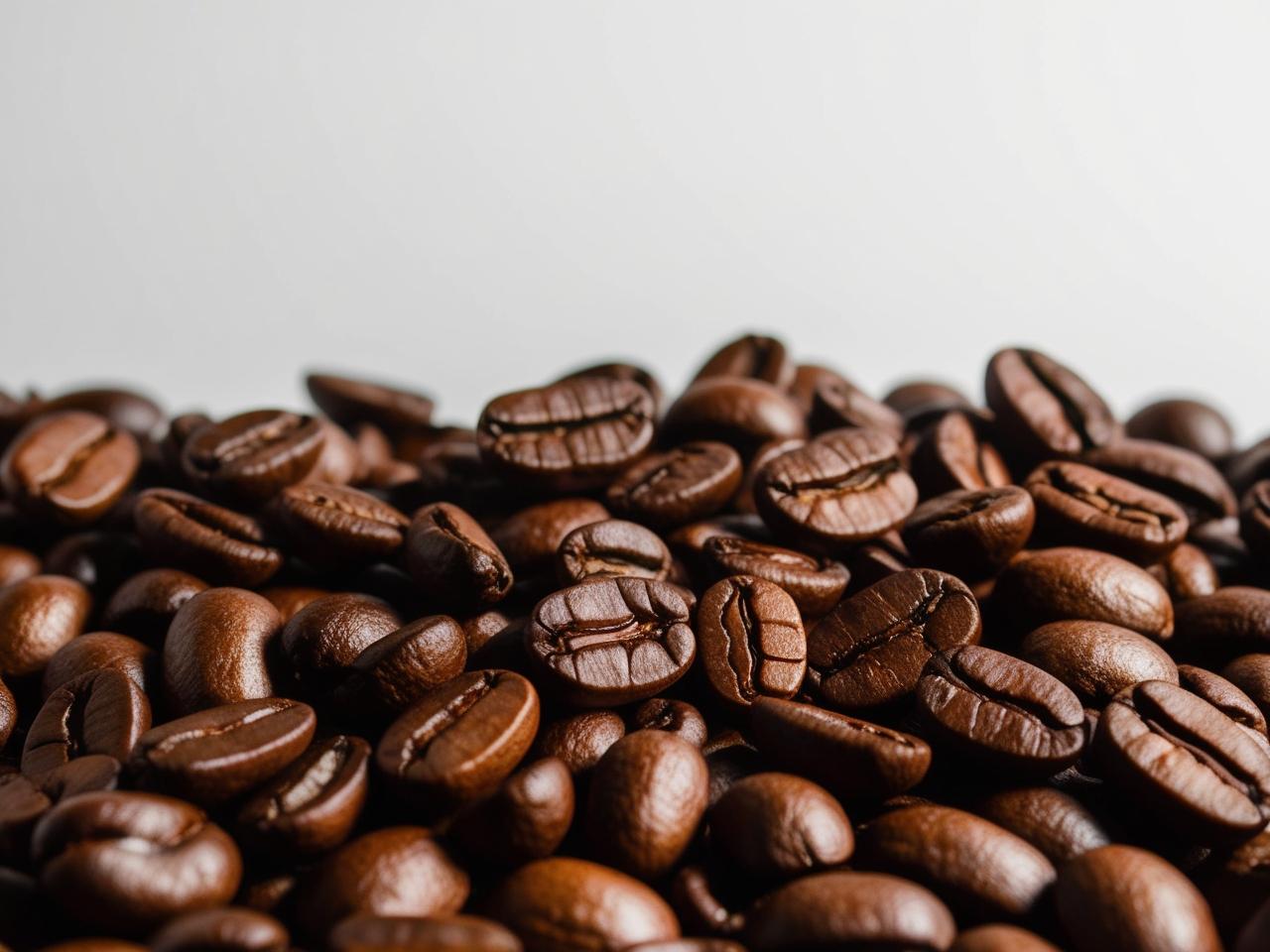 Un_fond_blanc_avec_des_grains_de_cafe_bresilien_en_plan_serres.jpg