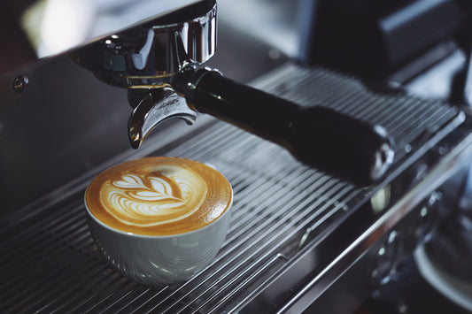 Pourquoi le café de spécialité coûte-t-il plus cher ? Une plongée dans sa vraie valeur